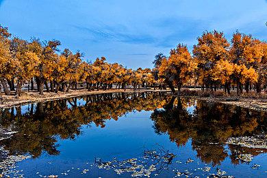 《沉默的蟋蟀》DLC「异虫拓展包」上线，大量新内容推出！